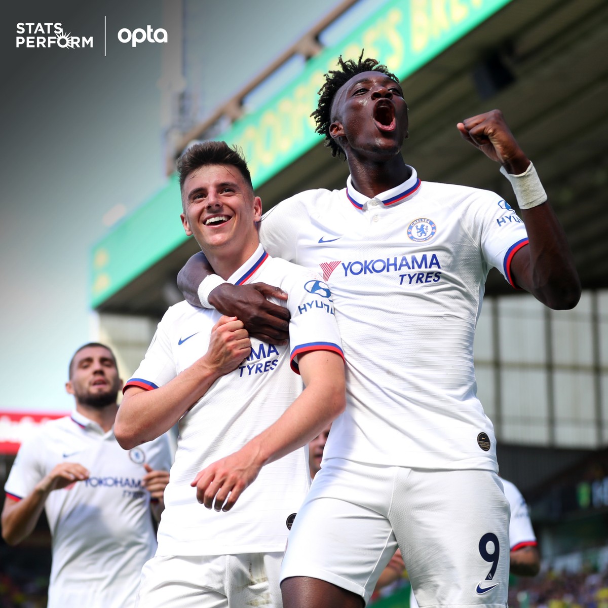 是篮球教科 是篮球教科