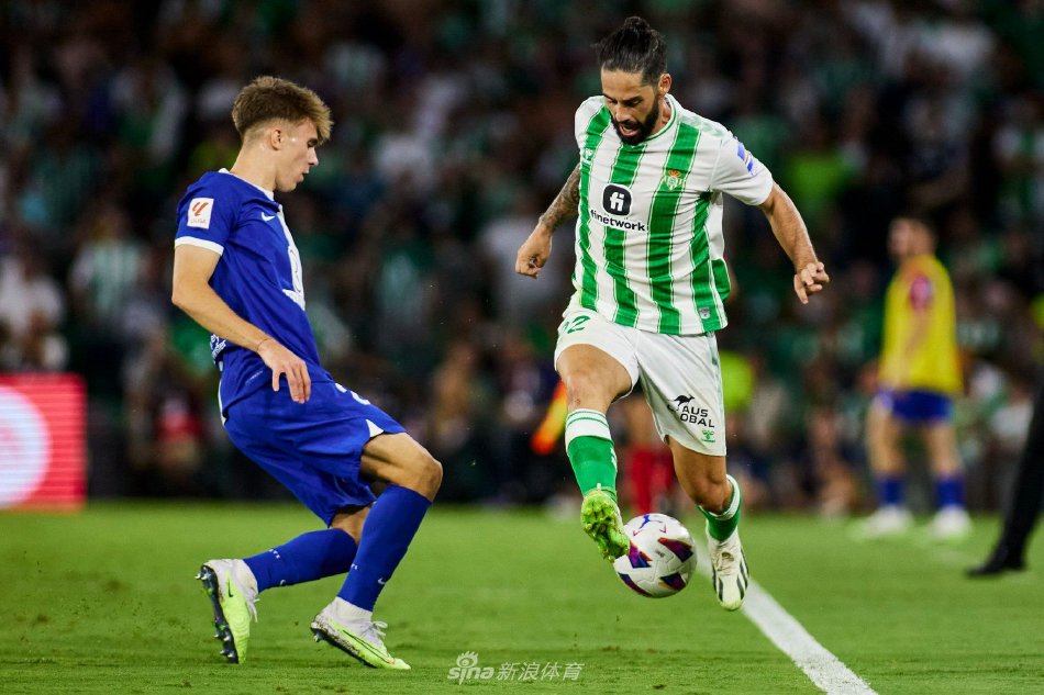 再次证明他 再次证明他